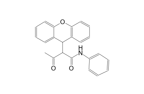 3-oxo-N-phenyl-2-(9H-xanthen-9-yl)butanamide