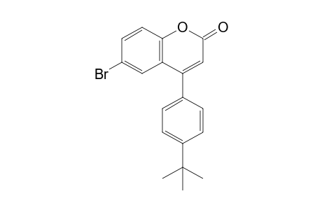 6-Bromo-4-(4-(tert-butyl) phenyl)-2H-chromen-2-one