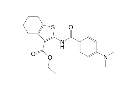 benzo[b]thiophene-3-carboxylic acid, 2-[[4-(dimethylamino)benzoyl]amino]-4,5,6,7-tetrahydro-, ethyl ester