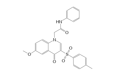 1-quinolineacetamide, 1,4-dihydro-6-methoxy-3-[(4-methylphenyl)sulfonyl]-4-oxo-N-phenyl-