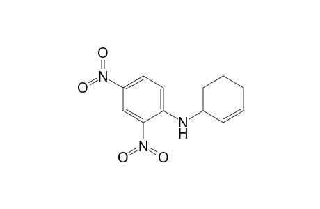cyclohex-2-en-1-yl-(2,4-dinitrophenyl)amine