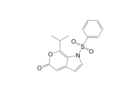 7-Isopropyl-1-phenylsulfonylpyrano[3,4-b]pyrrol-5(1H)-one