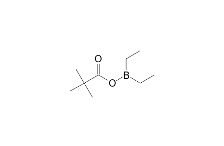 [(2,2-Dimethylpropanoyl)oxy](diethyl)borane