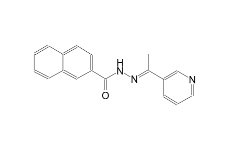 N'-[(E)-1-(3-pyridinyl)ethylidene]-2-naphthohydrazide