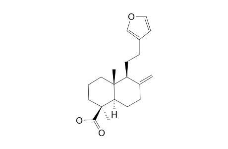 (1S,4aR,5S,8aR)-5-(2-furan-3-ylethyl)-1,4a-dimethyl-6-methylidene-3,4,5,7,8,8a-hexahydro-2H-naphthalene-1-carboxylic acid