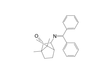 N-(Diphenylmethylene)-3-aminobornan-2-one