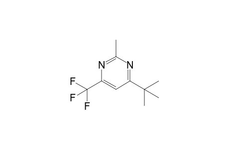 4-tert-Butyl-6-(trifluoromethyl)-2-methylpyrimidine
