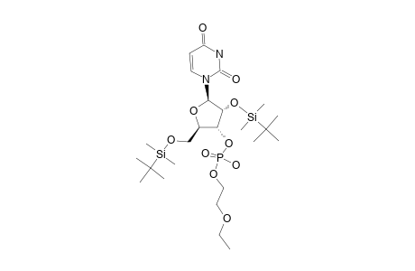 2',5'-DI-O-TERT.-BUTYLDIMETHYLSILYL-URIDINE-3'-(2-ETHOXYETHYL-PHOSPHATE)