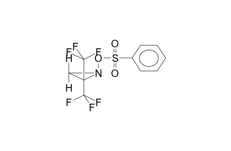 2,2-BIS(TRIFLUOROMETHYL)-1-(PHENYLSULPHONYLOXY)AZIRIDINE