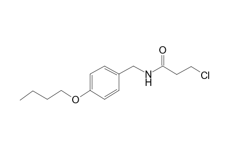 N-(4-butoxybenzyl)-3-chloropropanamide