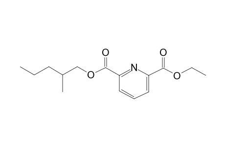 2,6-Pyridinedicarboxylic acid, ethyl 2-methylpentyl ester