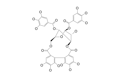 1,4-DI-O-GALLOYL-3,6-(R)-HEXAHYDROXYDIPHENYL-BETA-GLUCOPYRANOSE