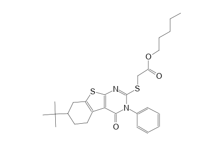 pentyl [(7-tert-butyl-4-oxo-3-phenyl-3,4,5,6,7,8-hexahydro[1]benzothieno[2,3-d]pyrimidin-2-yl)sulfanyl]acetate
