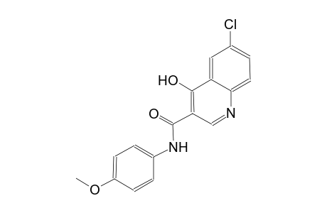 3-quinolinecarboxamide, 6-chloro-4-hydroxy-N-(4-methoxyphenyl)-