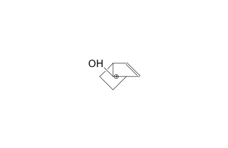 7-Hydroxy-bicyclo(2.2.1)hept-2-enyl-7 cation