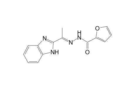 N'-[(E)-1-(1H-Benzimidazol-2-yl)ethylidene]-2-furohydrazide