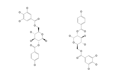 2-O-PARA-HYDROXYBENZOYL-6-O-GALLOYL-ALPHA/BETA-C1-GLUCOPYRANOSIDE
