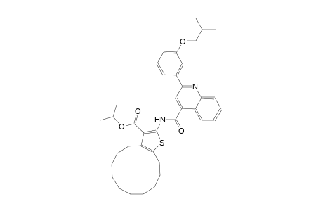 isopropyl 2-({[2-(3-isobutoxyphenyl)-4-quinolinyl]carbonyl}amino)-4,5,6,7,8,9,10,11,12,13-decahydrocyclododeca[b]thiophene-3-carboxylate