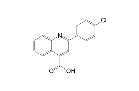 2-(4-chlorophenyl)-4-quinolinecarboxylic acid