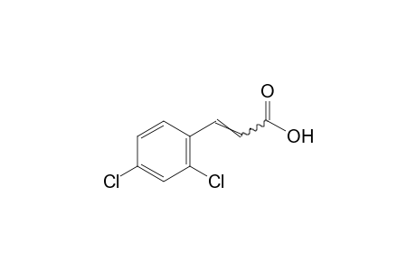 2,4-dichlorocinnamic acid
