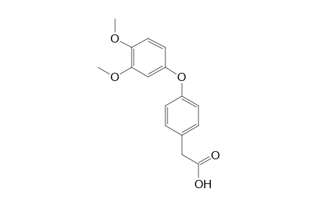 ACETIC ACID, P-/3,4-DIMETHYL- PHENOXY/PHENYL-,