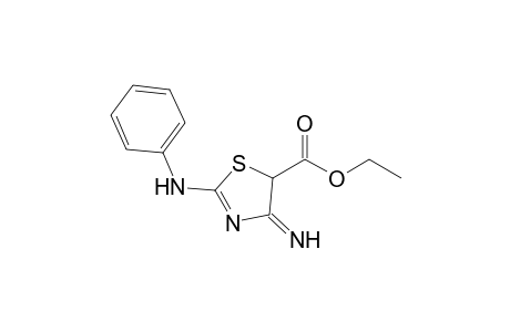 2-Phenylamino-4-imino-5-ethoxycarbonylthiazole
