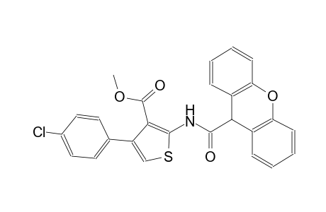 methyl 4-(4-chlorophenyl)-2-[(9H-xanthen-9-ylcarbonyl)amino]-3-thiophenecarboxylate