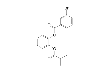 1,2-Benzenediol, o-(3-bromobenzoyl)-o'-(isobutyryl)-