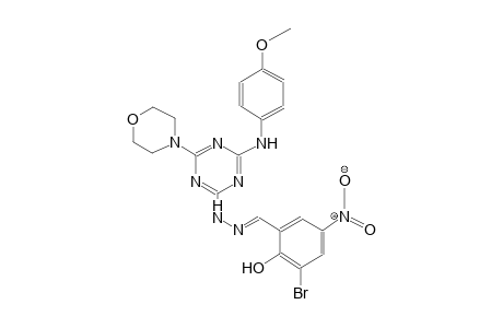 benzaldehyde, 3-bromo-2-hydroxy-5-nitro-, [4-[(4-methoxyphenyl)amino]-6-(4-morpholinyl)-1,3,5-triazin-2-yl]hydrazone