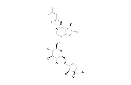 6'-O-APIOSYL-EBULOSIDE