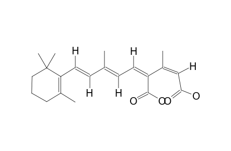 13-cis-12-Carboxyretinoic-acid