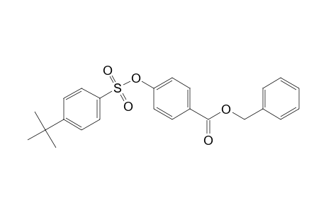 (phenylmethyl) 4-(4-tert-butylphenyl)sulfonyloxybenzoate