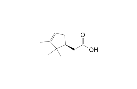 3-Cyclopentene-1-acetic acid, 2,2,3-trimethyl-, (S)-