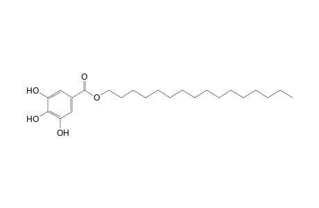 gallic acid, hexadecyl ester