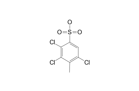 2,3,5-TRICHLORO-4-METHYL-BENZENESULFONIC-ACID;ISOMER-2