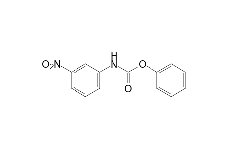 m-nitrocarbanilic acid, phenyl ester