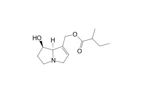 9-(2'-Methylbutyryl)-Retrocenine