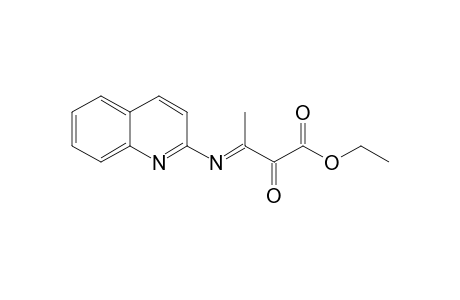 Ethyl 2-oxo-3-(quinolin-2-ylamino)butyrate
