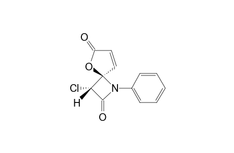 3-CHLORO-1-PHENYL-5-OXA-1-AZASPIRO-[3,4]-OCT-7-EN-2,6-DIONE