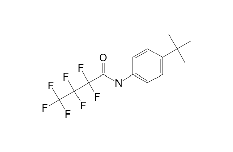 4-Tert-butylaniline, N-heptafluorobutyryl-