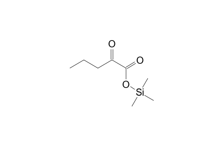 2-Oxopentanoic acid trimethylsilyl ester