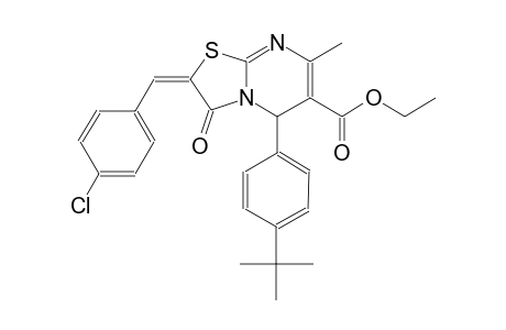 ethyl (2E)-5-(4-tert-butylphenyl)-2-(4-chlorobenzylidene)-7-methyl-3-oxo-2,3-dihydro-5H-[1,3]thiazolo[3,2-a]pyrimidine-6-carboxylate