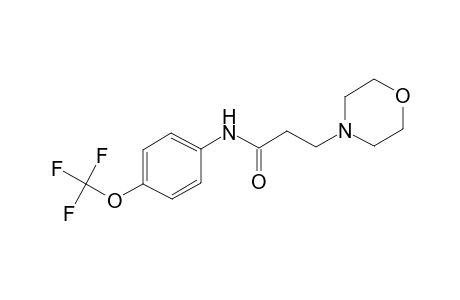3-(4-Morpholinyl)-N-[4-(trifluoromethoxy)phenyl]propanamide