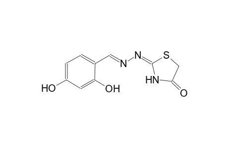 2,4-dihydroxybenzaldehyde [(2E)-4-oxo-1,3-thiazolidin-2-ylidene]hydrazone