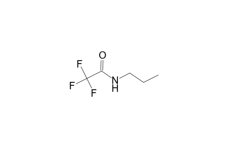 Acetamide, 2,2,2-trifluoro-N-propyl-