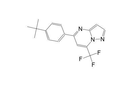 pyrazolo[1,5-a]pyrimidine, 5-[4-(1,1-dimethylethyl)phenyl]-7-(trifluoromethyl)-