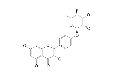 KAEMPFEROL-4'-O-ALPHA-L-RHAMNOPYRANOSIDE