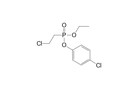 1-Chloranyl-4-[2-chloroethyl(ethoxy)phosphoryl]oxy-benzene
