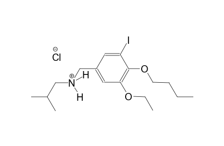 N-(4-butoxy-3-ethoxy-5-iodobenzyl)-2-methyl-1-propanaminium chloride