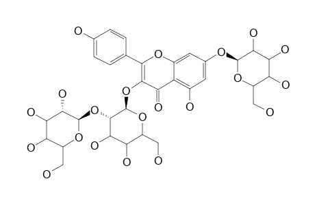 KAEMPFEROL-3-O-BETA-D-[BETA-D-GLUCOPYRANOSYL-(1->2)-GLUCOPYRANOSIDE]-7-O-BETA-GLUCOPYRANOSIDE